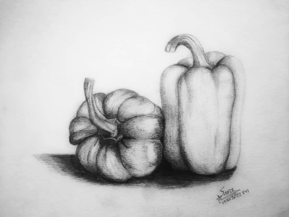 اعمال الطالبة سارة عبد الرحمن عبد الله المليكي تخصص جرافيك جامعة الاندلس رسم طبيعة صامتة بالرصاص رسم طبيعة صامتة بالألوان المائية رسم طبيعة صامتة بالرصاص رسم طبيعة صامتة بالرصاص افضل جامعة تخصص جرافيك في اليمن جامعة الاندلس اعمال ابداعيةلطالبات الجرافيك بجامعة الاندلس صنعاء رسم طبيعة صامتة بالرصاص