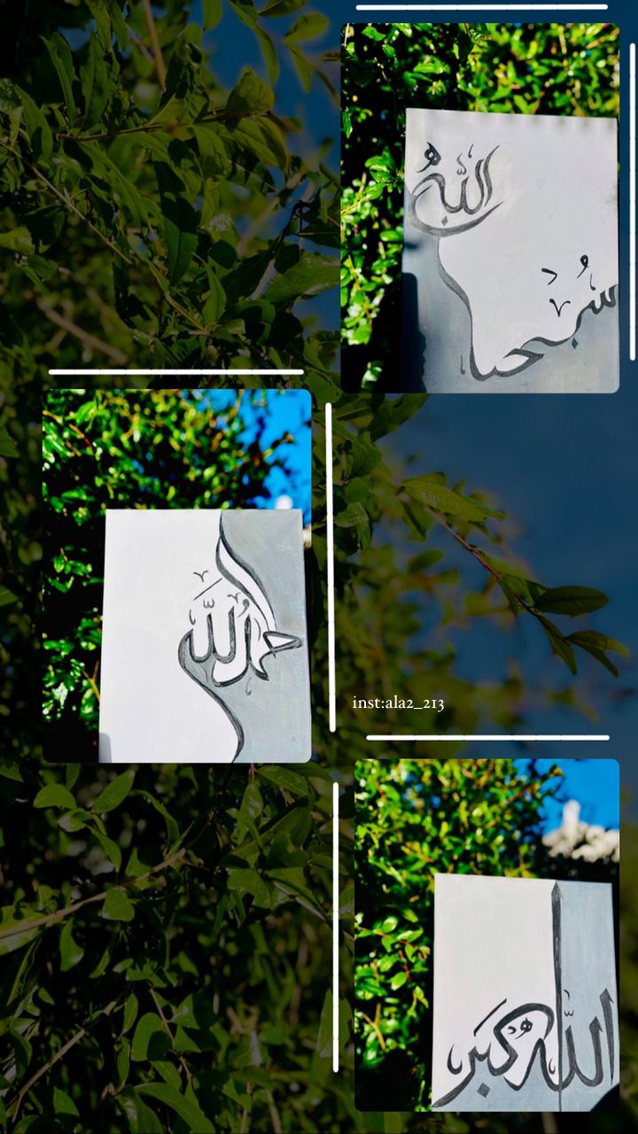 اعمال الاء عبد الله الصبيحي جامعة الاندلس أعمال ابداعية من قبل طالبات قسم الجرافيك رسم حر  رسم حر سهل رسم حر للاطفال رسم حر بالرصاص رسم حر ملون رسم حر عن الطبيعة موقع رسم حر أنواع الرسم اعمال رسم حر للطالب الاء عبد الله الصبيحي جامعة الاندلس